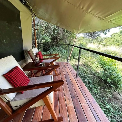 Tent with garden view