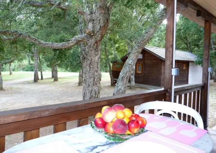 2 Bedrooms Chalet