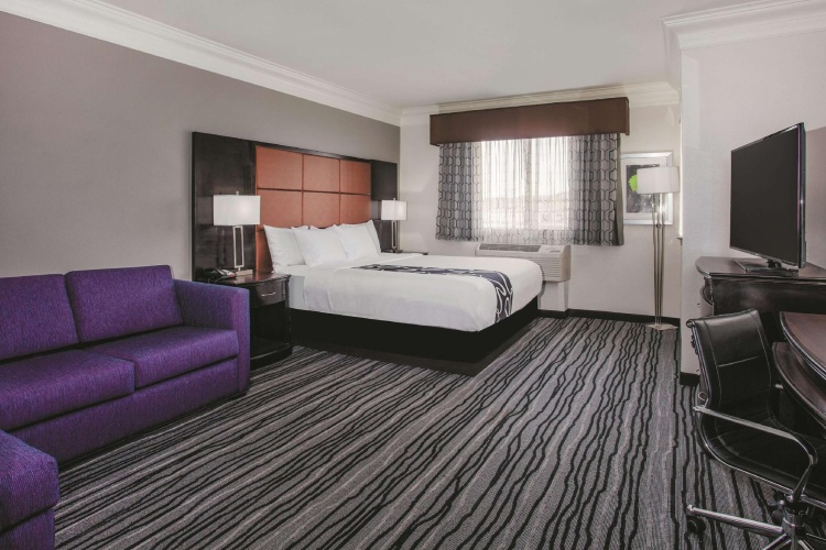 Accessible Double Studio Suite