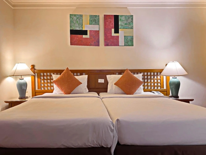 Deluxe Twin room