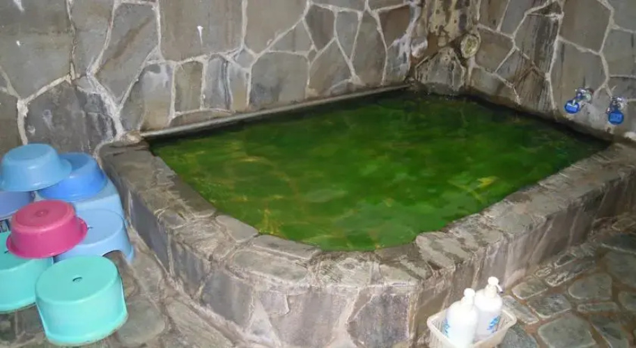 Ryokan Tomikawa(旅館　とみ川)