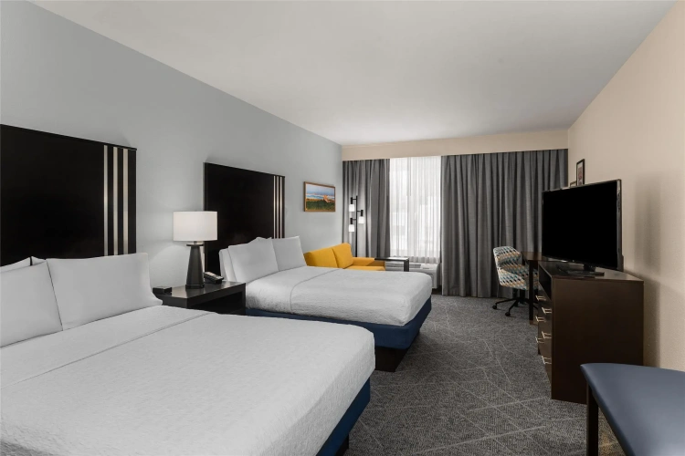 Single Suite