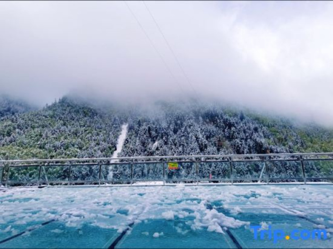 Siguniangshan Sishan Homestay