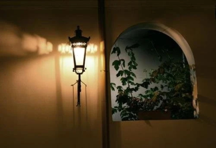Guest house Evdoshvili 5