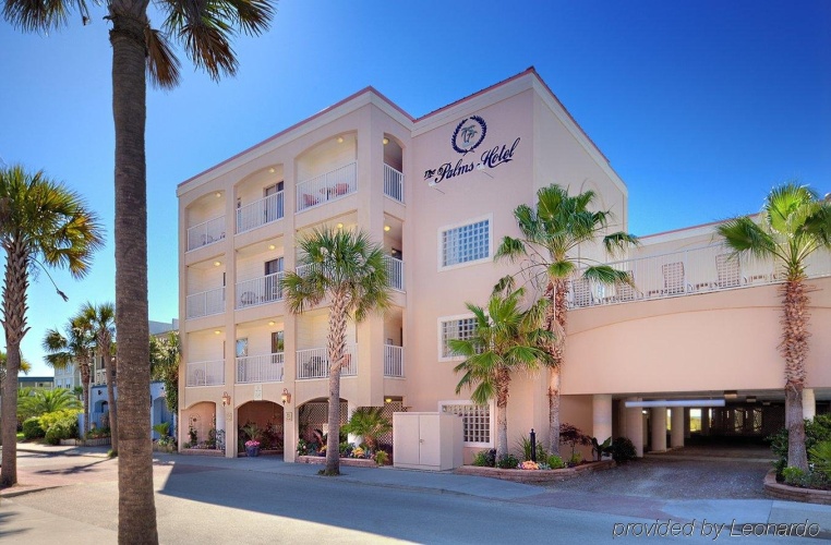 The Palms Oceanfront Hotel photo 22
