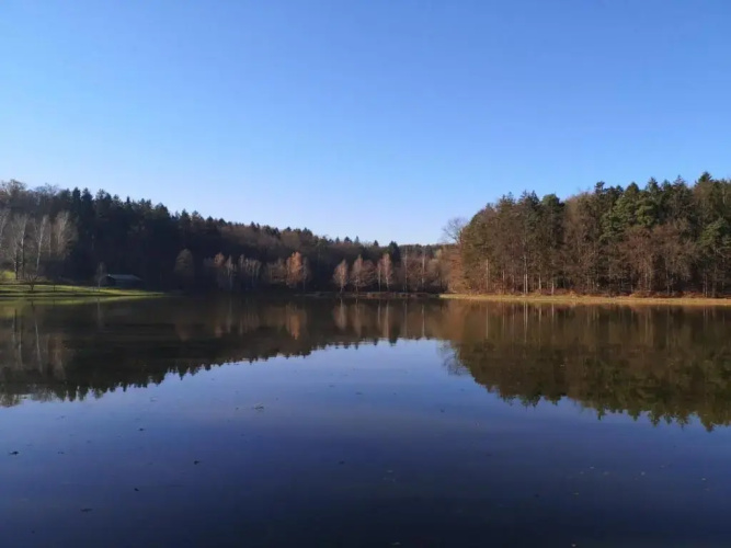 Domačija Vrški