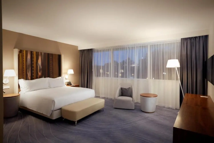 Deluxe Double Guest room