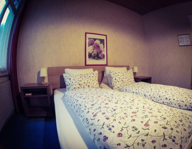 Alpina Hotel