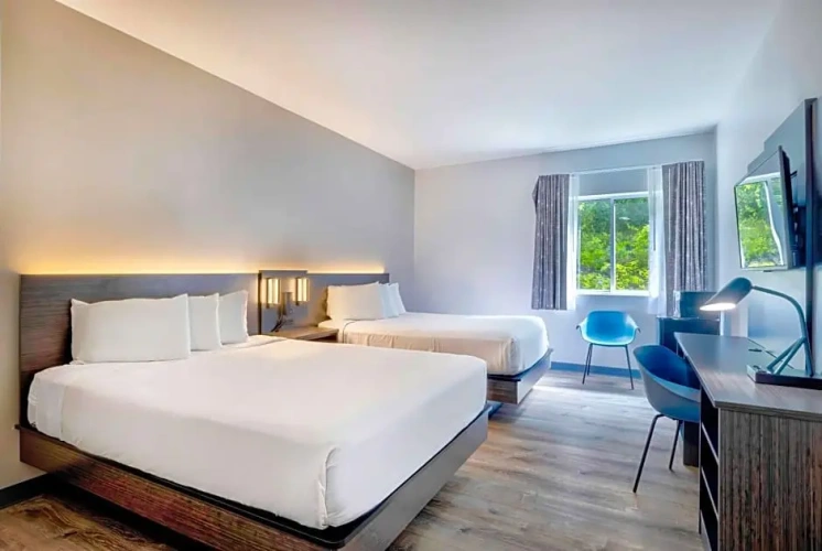 Quadruple Suite