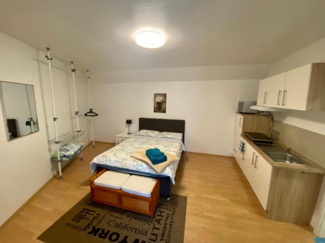 1 Bedroom Apartment