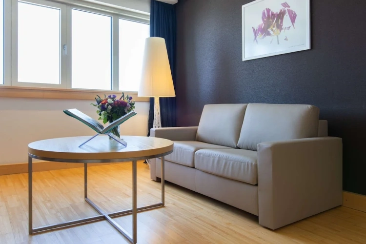 1 Bedroom Suite with park view
