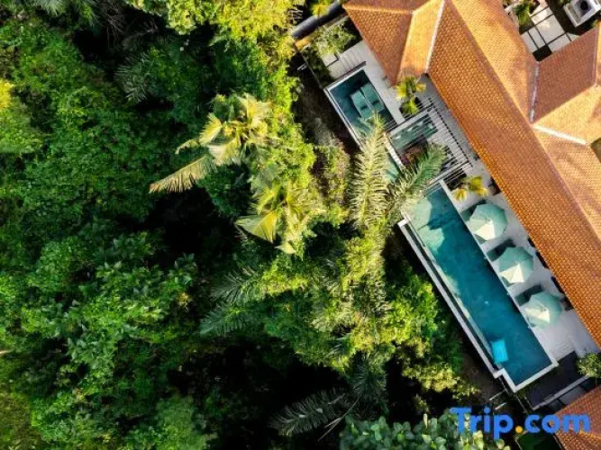 Villa Mamily by BaliSuperHost