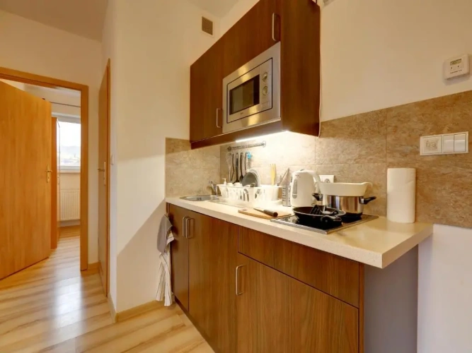 Duplex Apartment