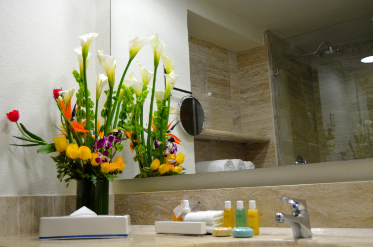 Fiesta Americana Puerto Vallarta All Inclusive and Spa photo 11