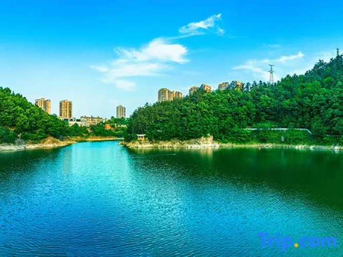 Xinhu B&B