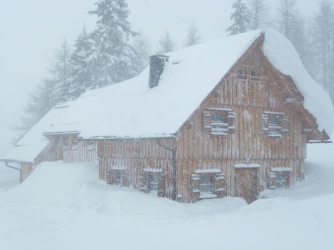 1 Bedroom Chalet
