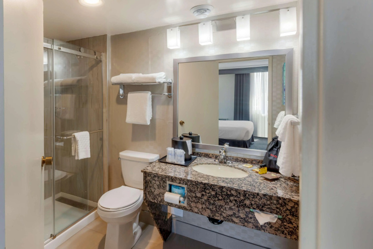 Best Western Plus Toronto Airport Hotel photo 11