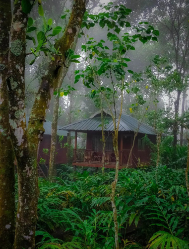 Monsoon Retreats