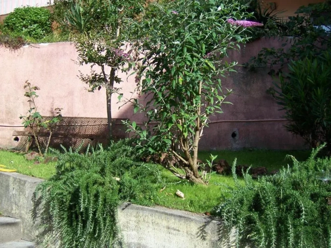 Standard Double room with balcony and with view