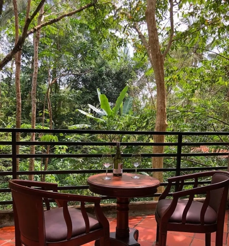 1 Bedroom Superior Apartment with balcony and with view