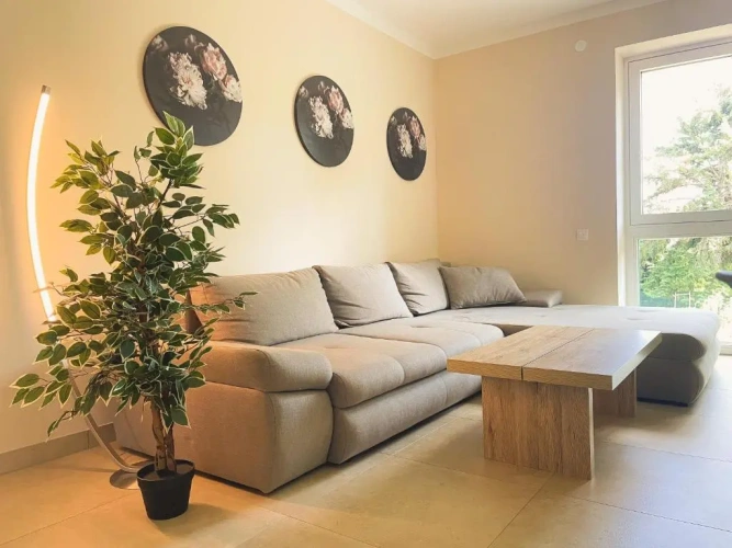 2 Bedrooms Single Apartment