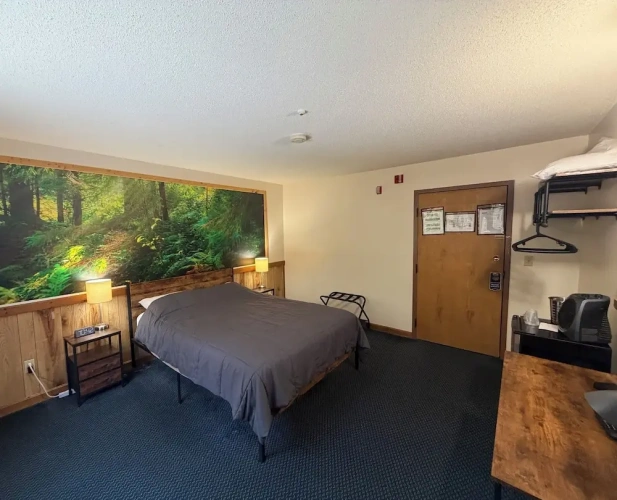 Premium Double room