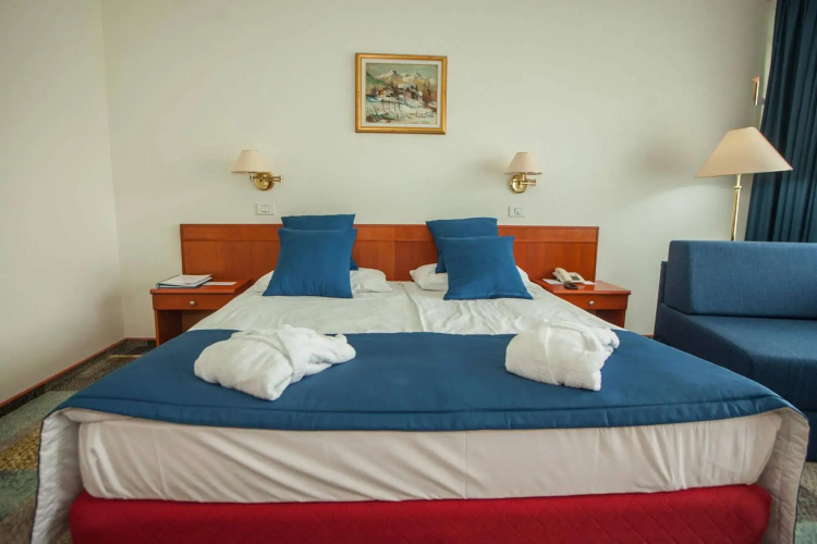 Hotel Toplice