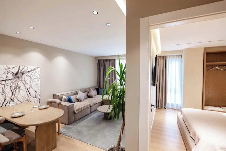 Deluxe Apartment