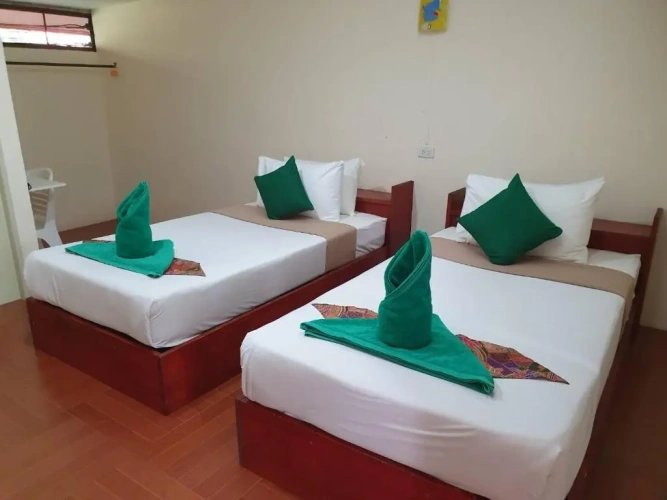 Economy Triple room with balcony and with view