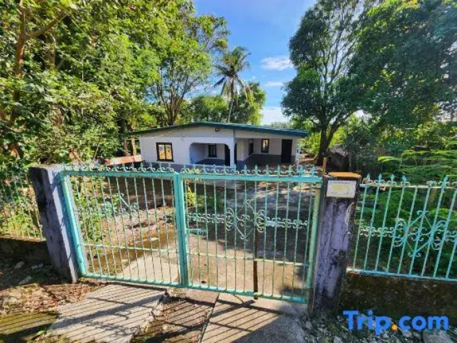 Papa's Rental House