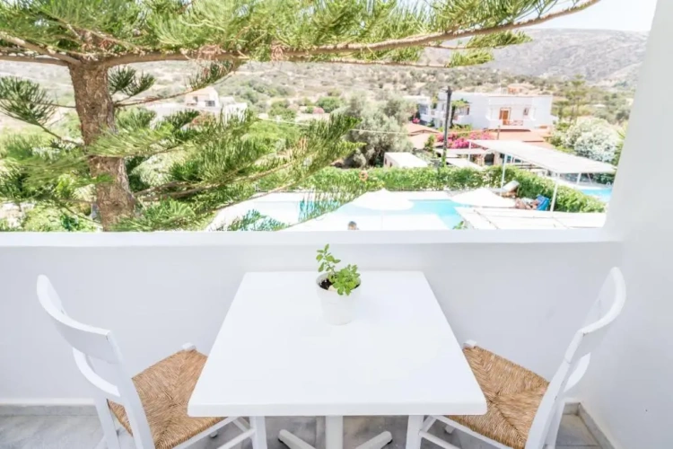 Standard Double room with balcony and with view