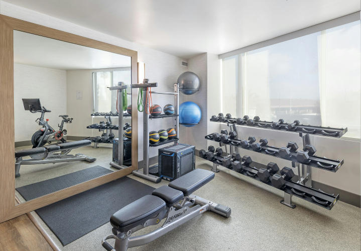 The Belamar Hotel Manhattan Beach, Tapestry Collection photo 18