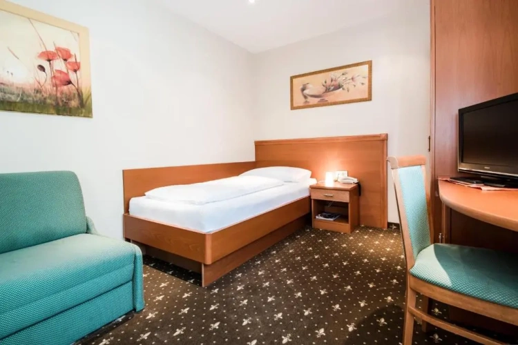 Standard Single room with balcony and with view