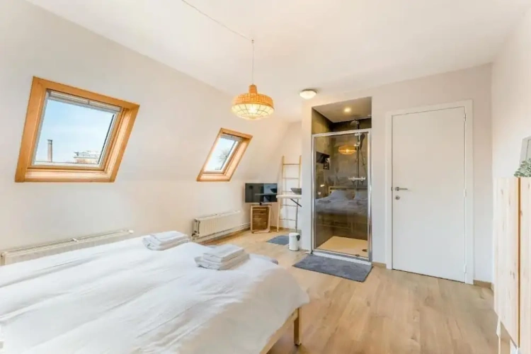 Standard Double room with park view