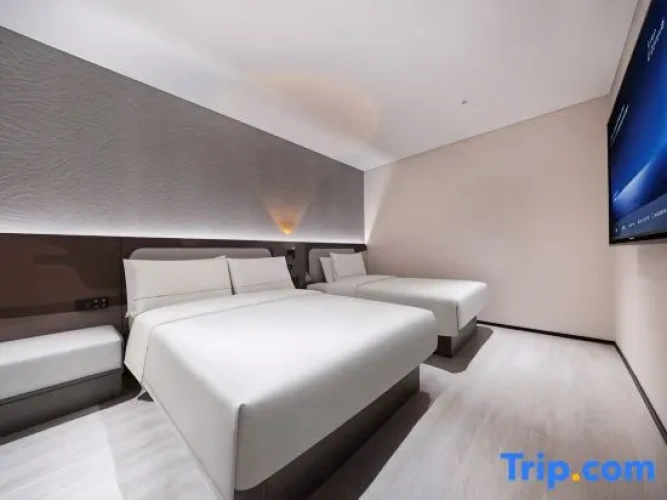 Superior Family Suite