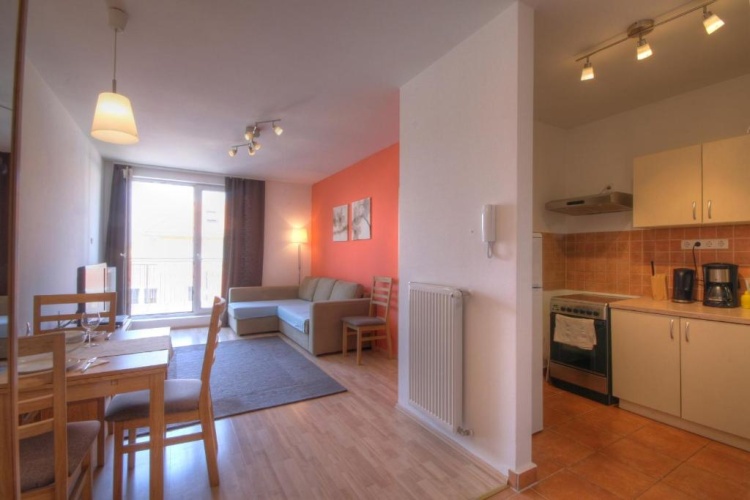 1 Bedroom Apartment with balcony and with view