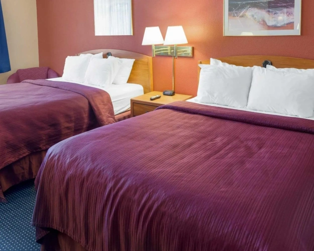 Standard Double room