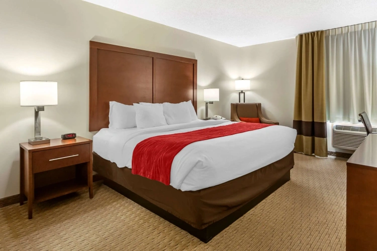 Standard Double room