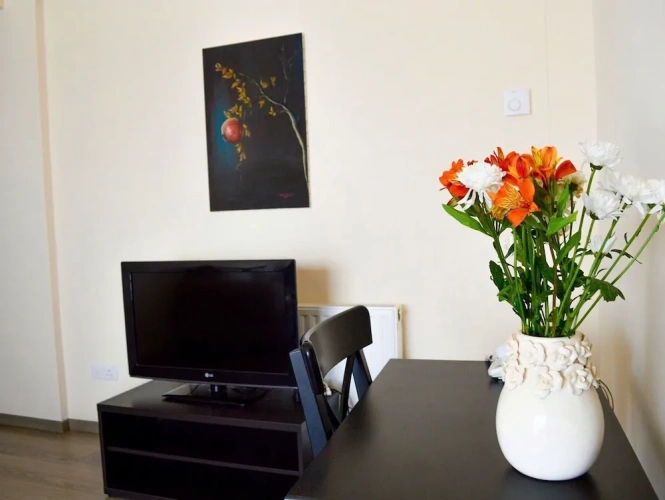 1 Bedroom Superior Apartment