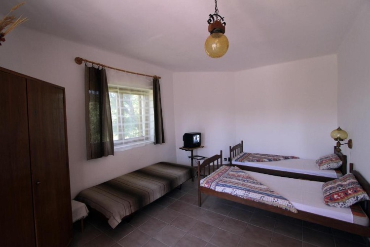 Basement Apartment