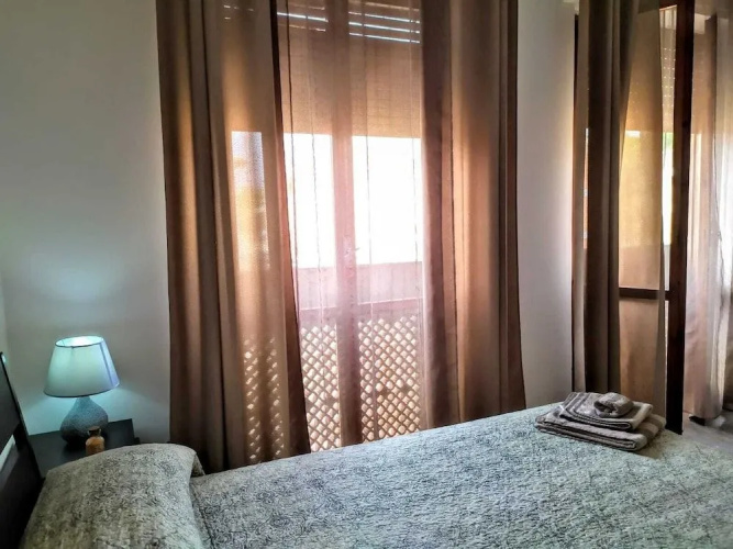 B&B Libellula