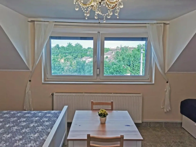 Standard Double room with view