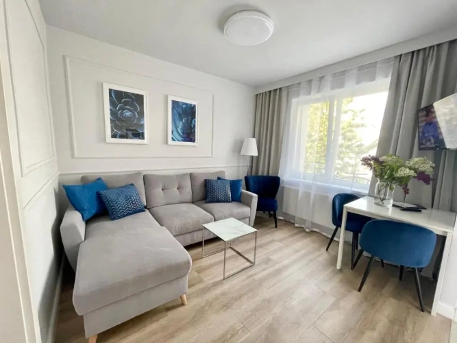 1 Bedroom Apartment