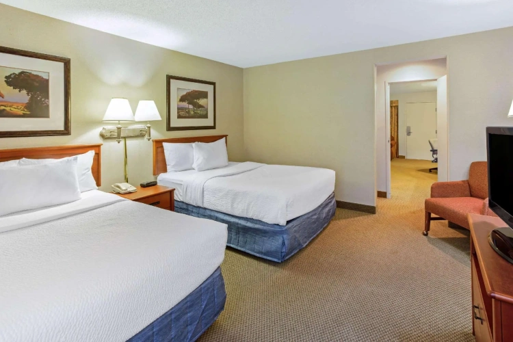 1 Bedroom Quadruple Suite
