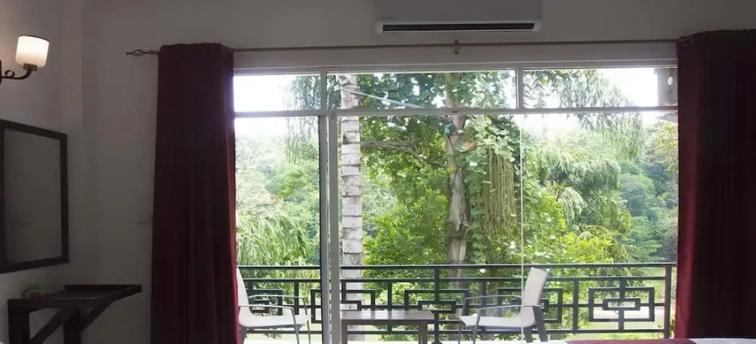 Deluxe Single room with balcony and with river view