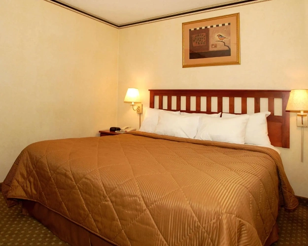 Executive Double Suite