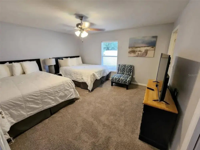 Heated Pool, Jacuzzi & Sauna! Tampa, FL