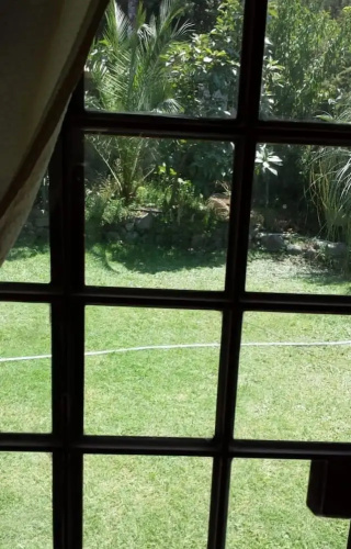 casa olmue con piscina