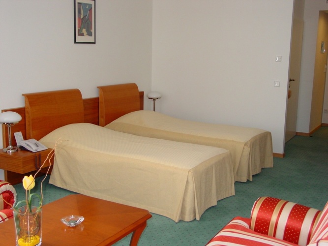 Business Twin room