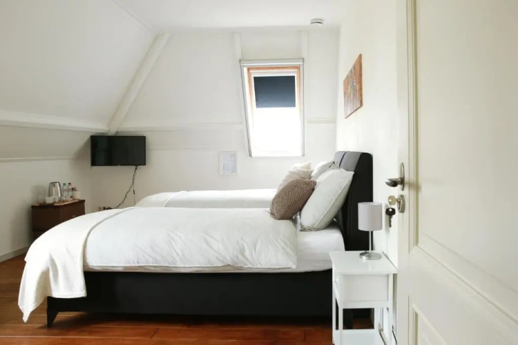 Deluxe Double room with garden view